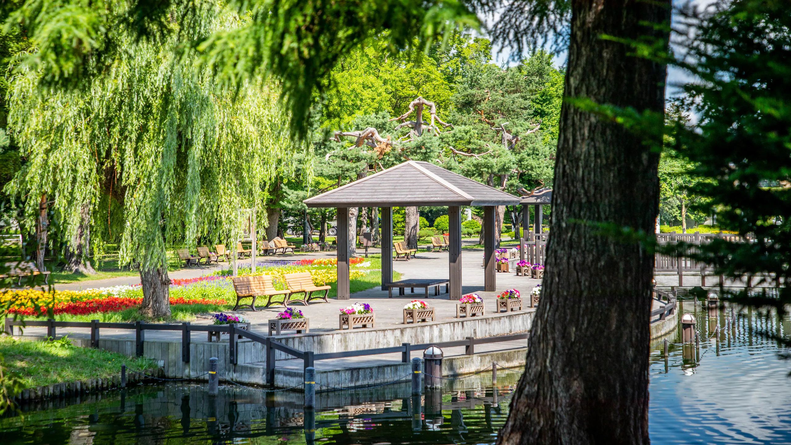 🏞️ 토키와 공원 이미지 1